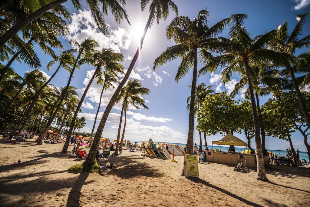 Mountain Views & Steps To Beach - Free Parking! Honolulu Extérieur photo